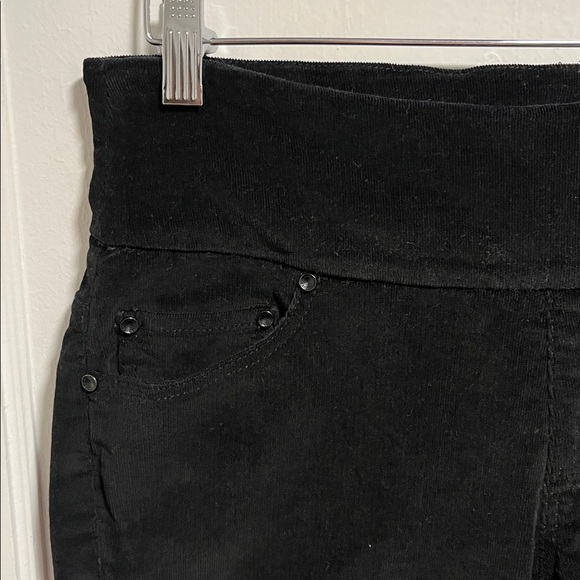 Jag Jeans Velvet Pants - Picture 3 of 15